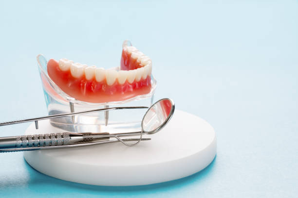  Grifton, NC Dental Services Pros
